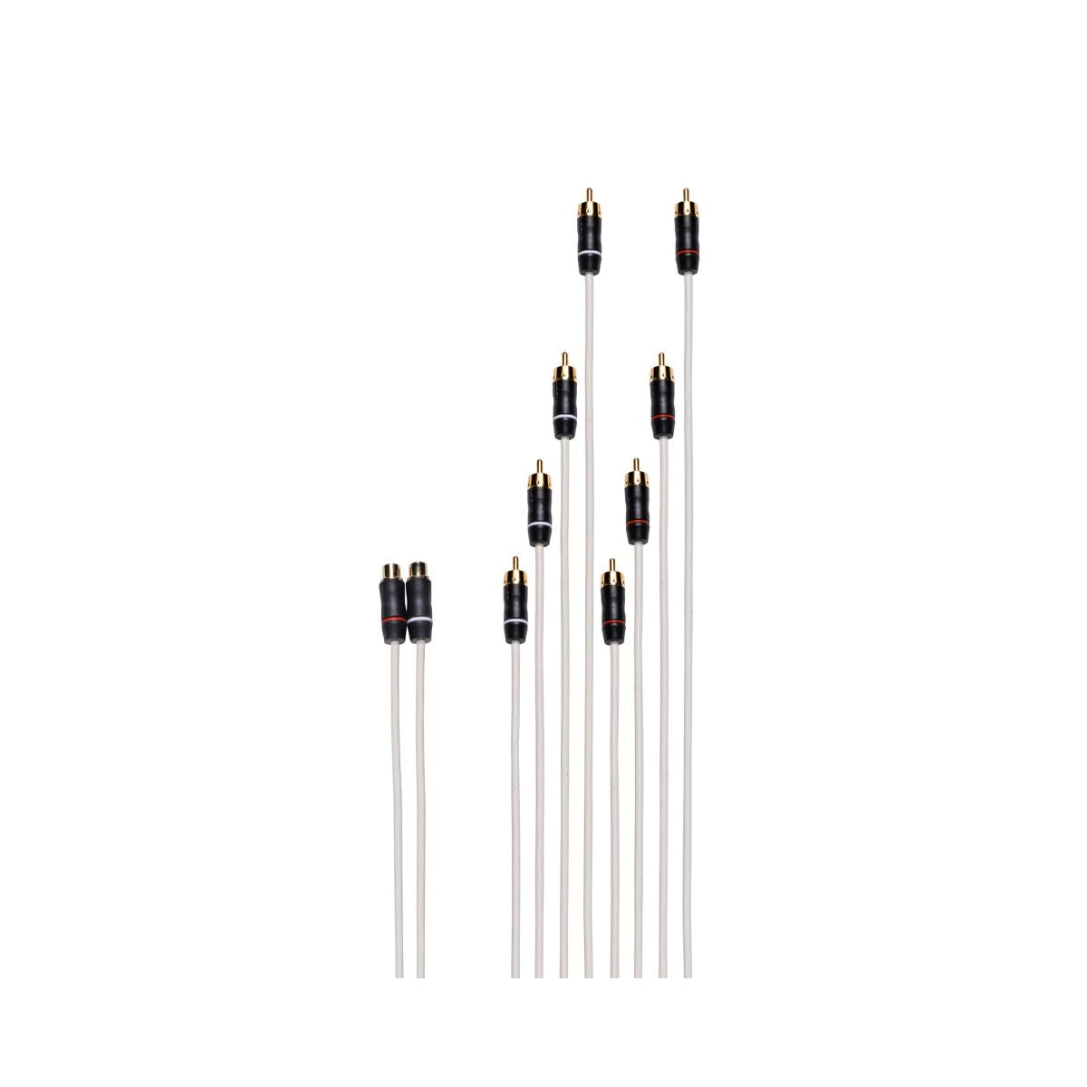 Fusion RCA Splitter Cable Double Female to 8 Channel Male