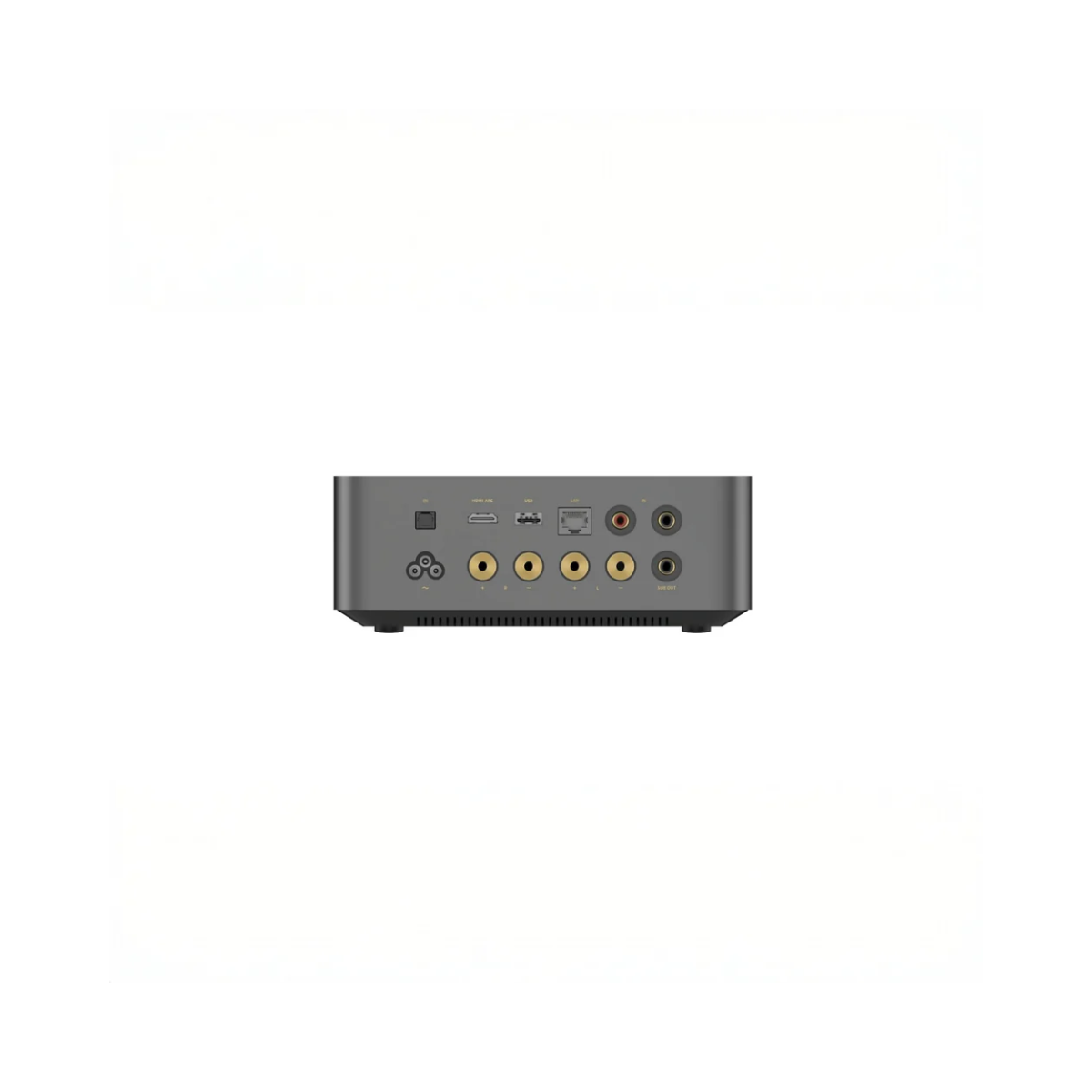 MIX & MATCH: PIEGA ACE 30 + Wiim Amp Ultra