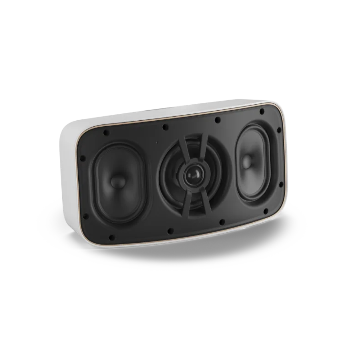 DALI Gardian OW 6 Buiten speaker
