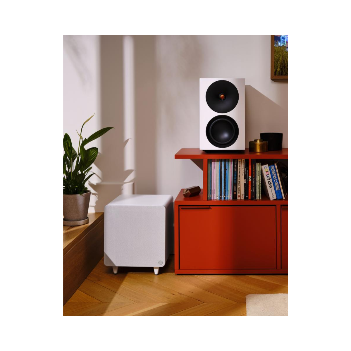 Cambridge Audio MSX Sub 300