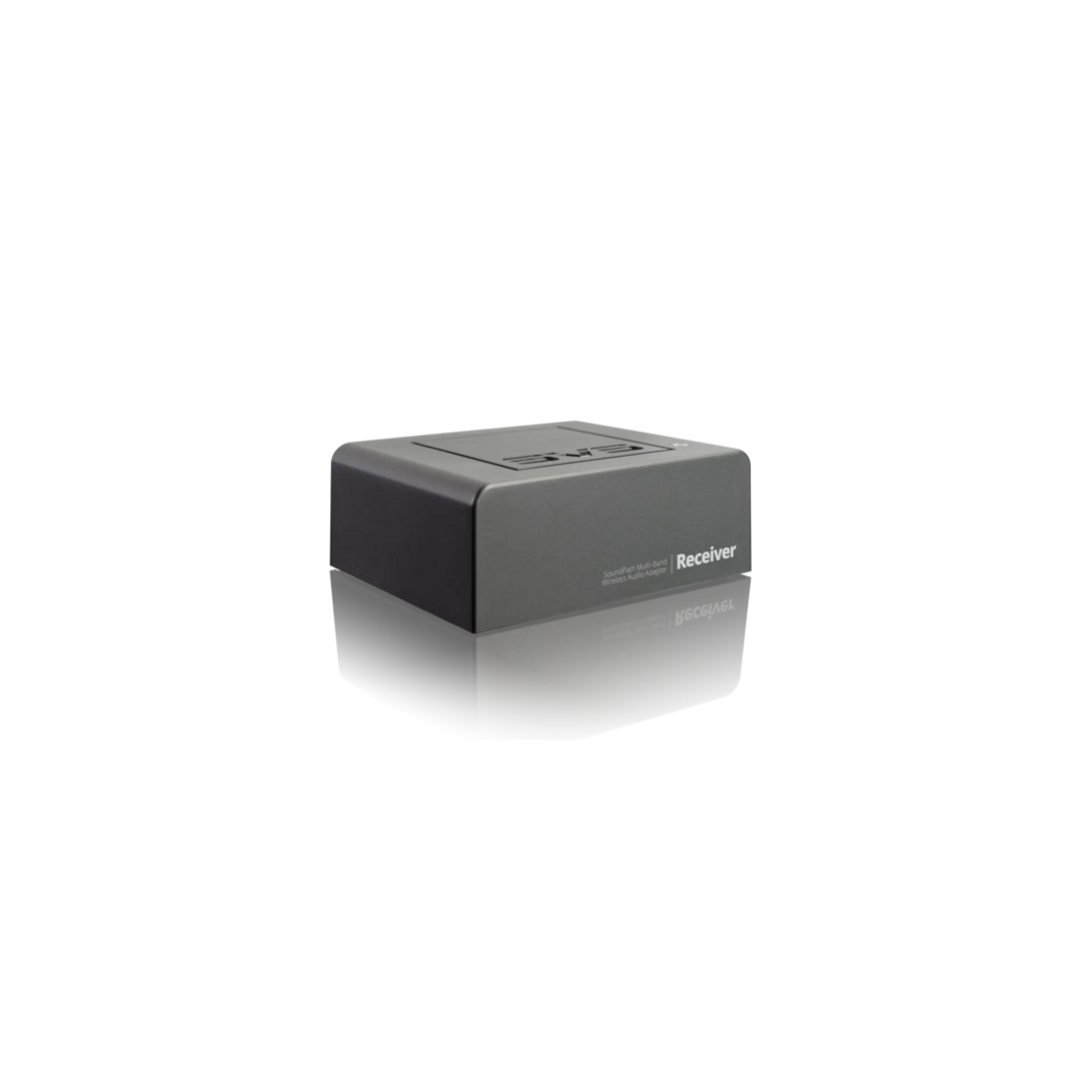 SVS SoundPath Multi-Band Wireless Audio Adapter