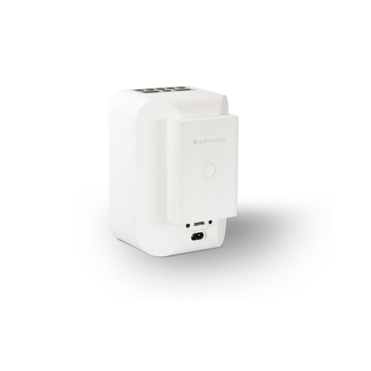 Bluesound Pacco batteria BP100