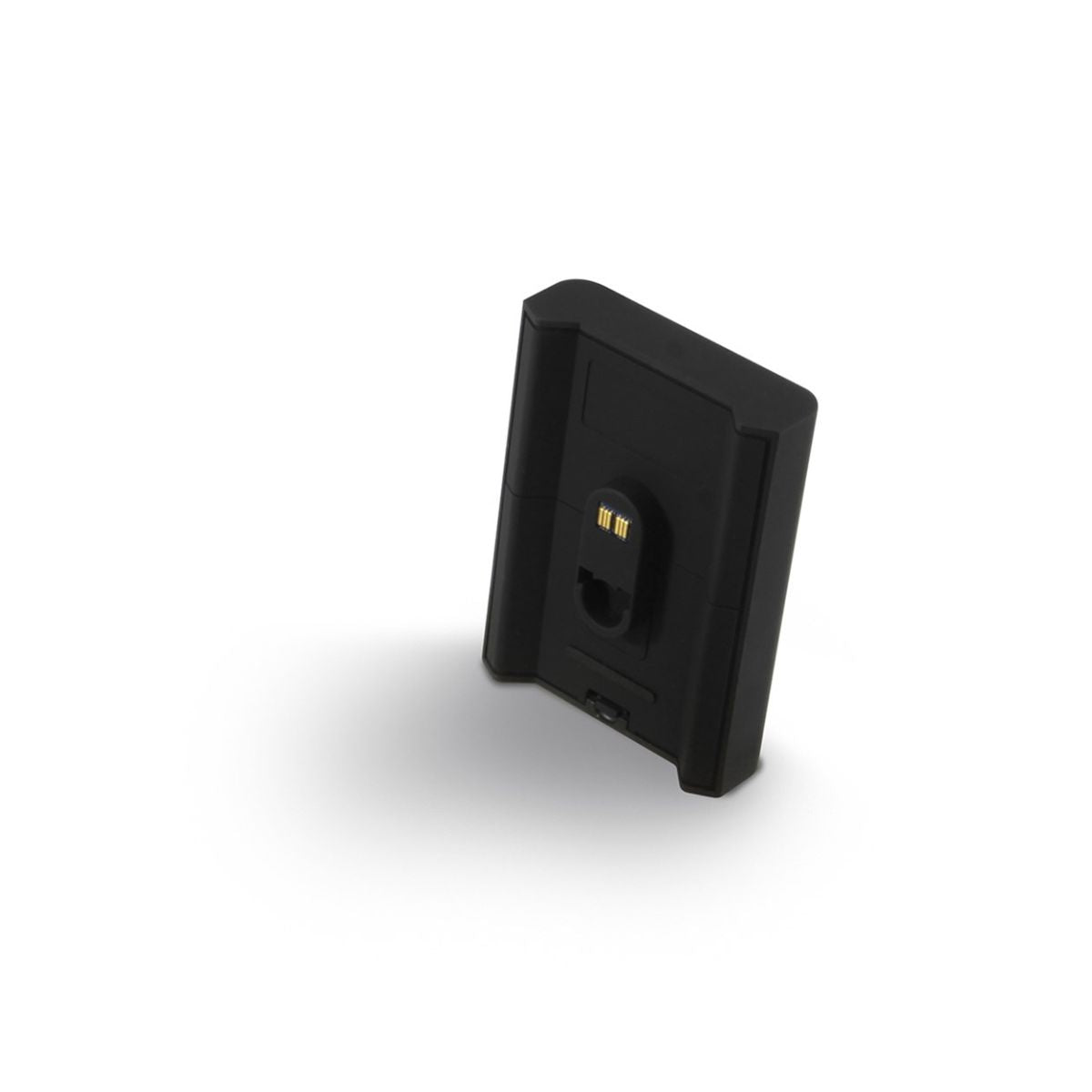 Bluesound BP100 batt pack