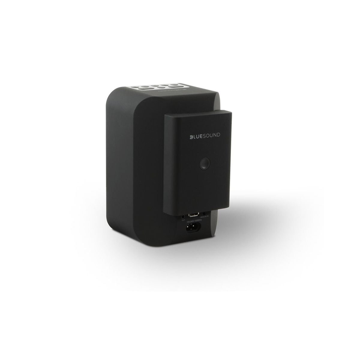 Bluesound Pacco batteria BP100